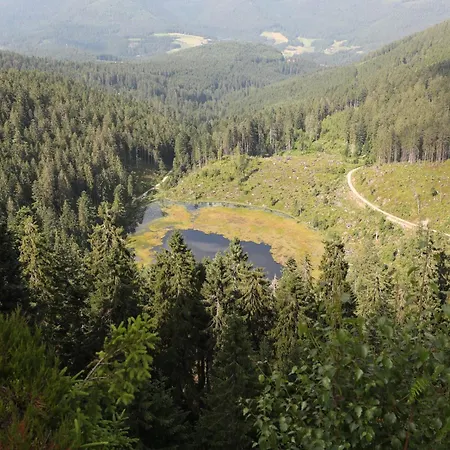 ホテル Ailwaldhof Parkhotel & 4*