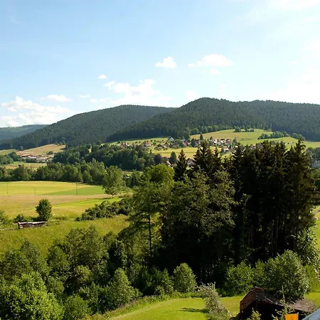 فندق Ailwaldhof Parkhotel & 4*