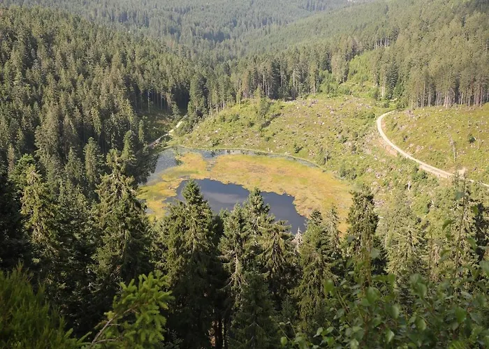 Hotel Ailwaldhof Parkhotel & 4*