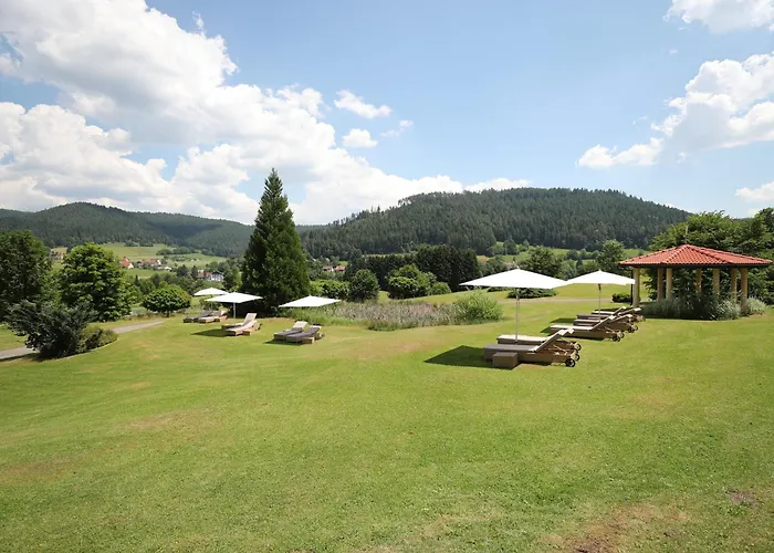 Hotel Ailwaldhof Parkhotel & Baiersbronn